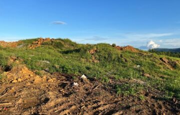 Environmental Assessments Environmental Assessments