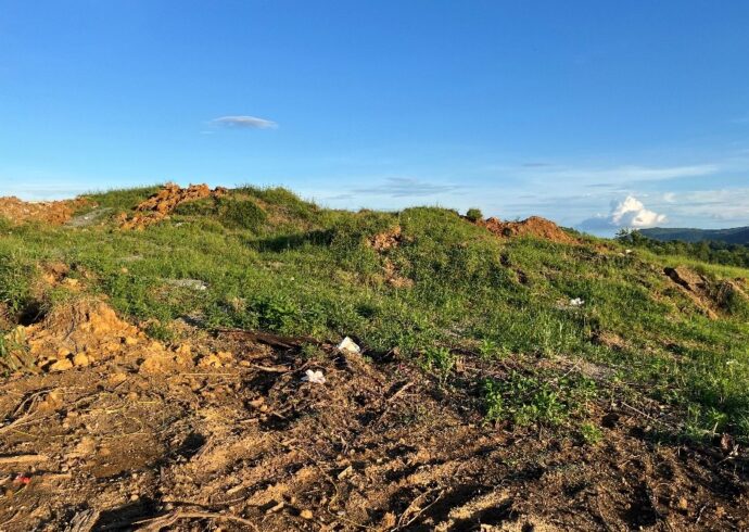 Building-Consultants-Inc-esa Building-Consultants-Inc-esa